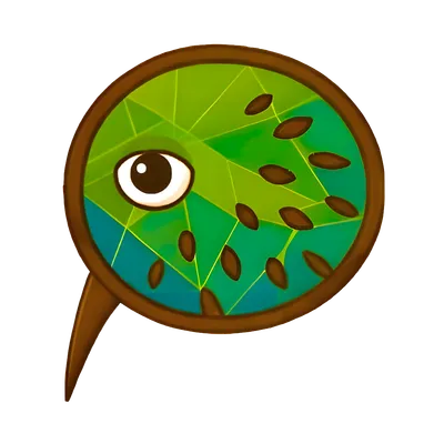 Kiwi bird